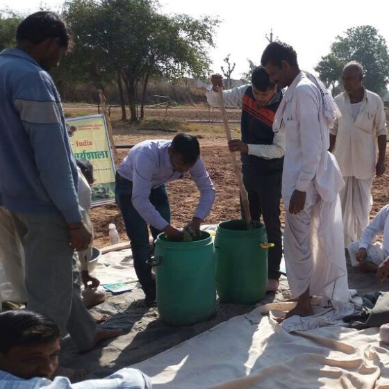 Backward Integrated Farming