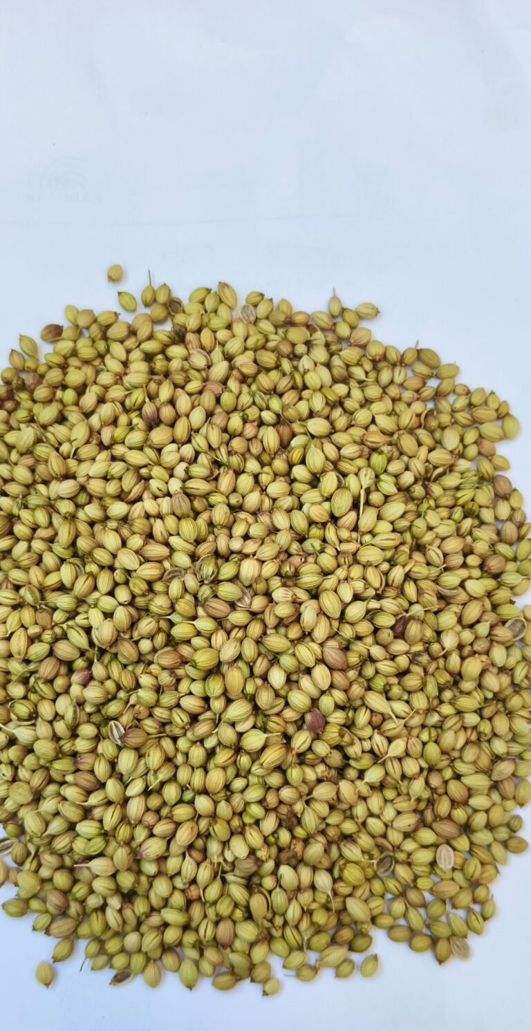 Coriander Seeds