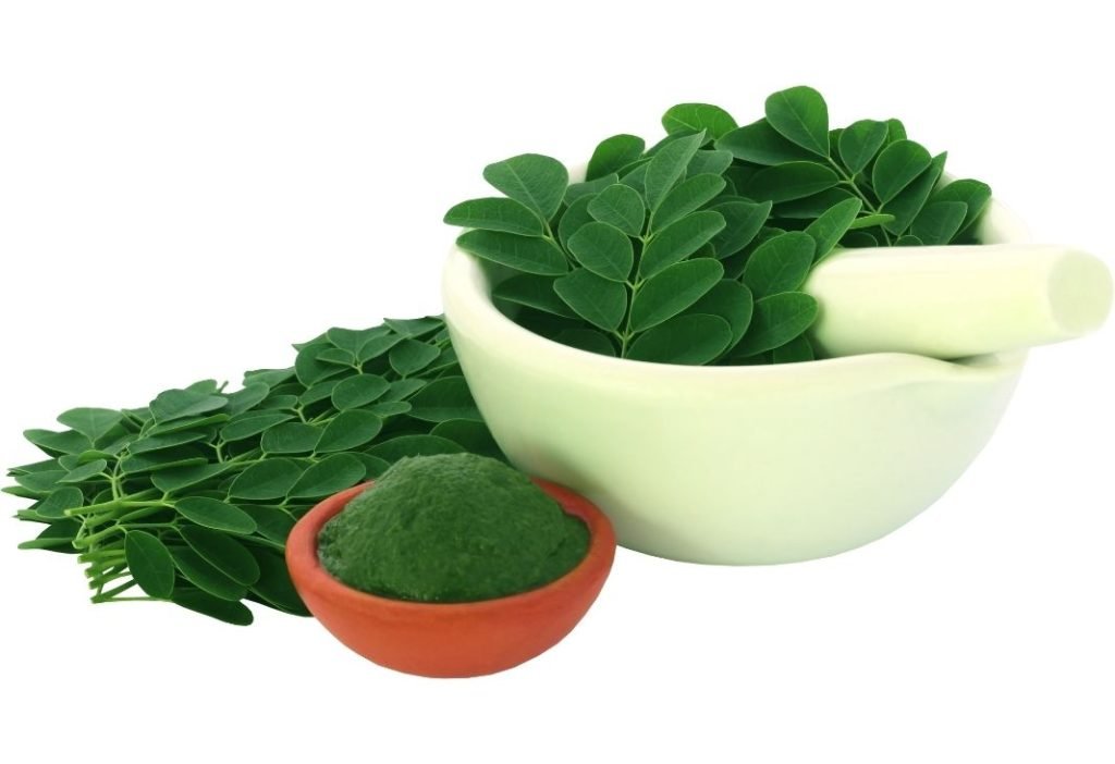 Moringa Powder