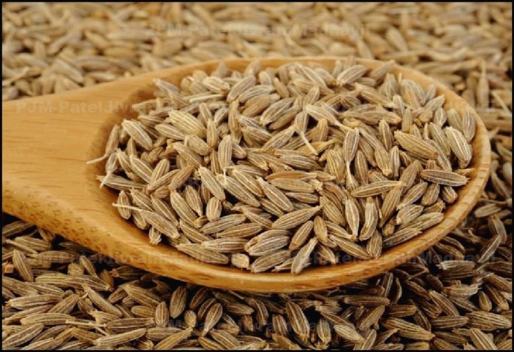 IPM & Organic Cumin (Seeds & Powder): A Complete Buyer’s Guide